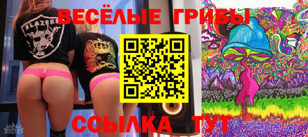 Тамбов  закладки  Вход с VPN  Галлюциногенные грибы Psilocybine cubensis 